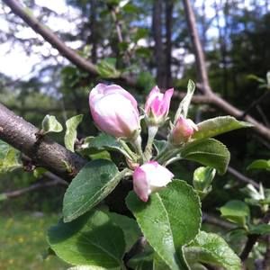 Meet your Posher, Leticia